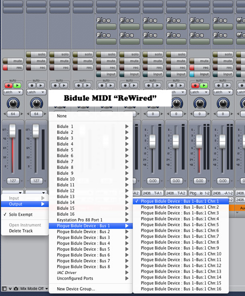 Bidule-DP7 ReWired 04